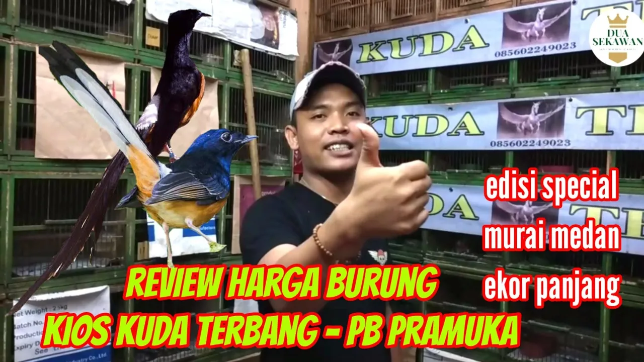 
          
          
          
            
            Review harga burung pasar pramuka kios Kuda terbang | spesial murai medan ekor panjang
          
        . 