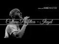 Cultura Profética - Ilegal (Letra)