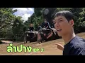 Download Lagu เราให้ช้าง หรือ ช้างให้เราอาบน้ำ?