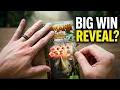 Minnesota Scratch Off - Will I Hit Big Today