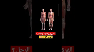 الفرق Chorts المرأة الرجل مقارنة علم النفس 