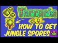 How To Get Jungle Spores In Terraria Terraria 1 4 4 9