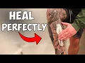 How To Perfectly Heal A NEW Leg Tattoo Fresh to Fully Healed