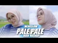 Download Lagu Pale Pale India Mashup x Melody Old ( DJ Topeng Remix )