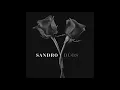 Sandro y Cristian Castro - Rosa Rosa