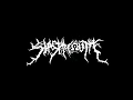 Download Lagu Deathcore Happy Birthday!