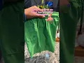 I made her Patrick costume
