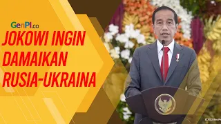 Jokowi Undang Putin dan Zelensky Hadiri KTT G20
