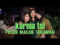 Download Lagu PAGAR MAKAN TANAMAN - DJ TIKTOK TERBARU - 2022