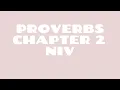Proverbs 2 NIV Read by a Black Woman Spoken Word Style Bible Noir