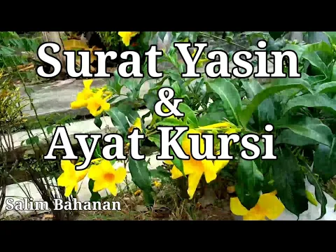 Download MP3 SURAT YASIN & AYAT KURSI Chap.2 ~~~ (dilengkapi dengan, tulisan arab & terjemahan).