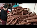 Download Lagu Amak Cina Indonesia Olah Singkong Yang Empuk | Chinese Life in Indonesia | Cooking