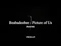 Download Lagu Beabadoobee - Picture of Us (Acapella/Vocals Only)