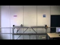 Triple Pendulum on a Cart
