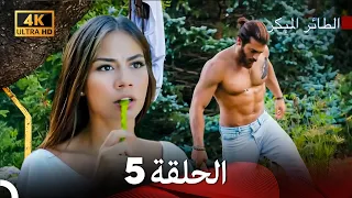 مسلسل الطائر المبكر الحلقة 5 4K Arabic Dubbed 
