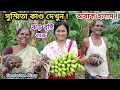 Download Lagu সুস্মিতার কাণ্ড দেখুন! অনেক কিছু পাবেন আজকের ভিডিওতে ! Sundarban Diary 