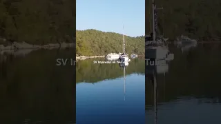 The back garden today