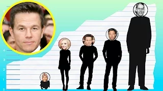 How Tall Is Mark Wahlberg - Height Comparison