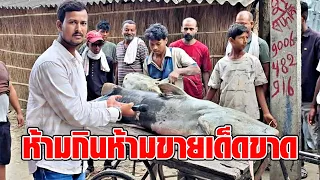 น้ำท่วมใหญ่เนปาล พัดพาเอาปลารูปลักษณ์ประหลาด หนักเกือบ 45 กก.โผล่อินเดีย เตือนห้ามกินห้ามขาย : RECAP
