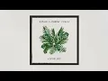 Maren Morris, Hozier - The Bones (REVERSE VISUALIZER)