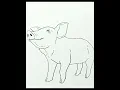Download Lagu DRAWING REALISTIC BABY PIG