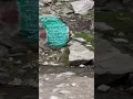 Download Lagu Saif-ul-Malouk #naran #nature