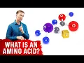 What Is An Amino Acid - Dr Berg