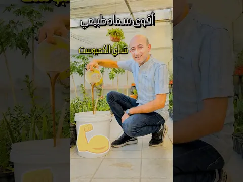 شاي الكمبوست | أقوى الأسمدة الطبيعية لجميع النباتات