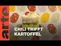 Download Lagu Peru: Causa Limeña | Küchen der Welt | ARTE Family