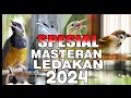 Download Lagu MASTERAN SPESIAL LEDAKAN 2024 KOMPILOASI MEWAH UNTUK SEMUA JENIS BURUNG MURAI BATU DAN CUCAK IJO !! MP3