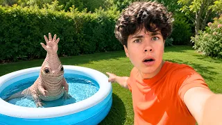 Нашли у себя дома HAND SEA MONSTER в реальной жизни