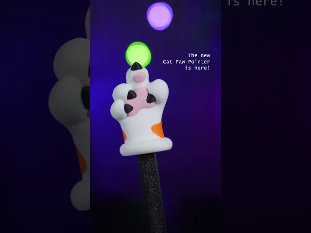 Cat Paw Pointer video thumbnail