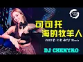 Download Lagu 可可托海的牧羊人 - Ke Ke Tuo Hai De Mu Yang Ren - 2023最火歌曲DJ Remix 抖音版 ♪ 最新最火DJ抖音版2023－ 2023 年最劲爆的DJ歌曲