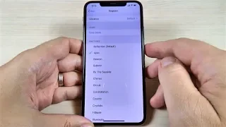 IPhone 11 11 Pro Max Ringtones 2019 IOS 13 