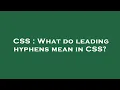 CSS What do leading hyphens mean in CSS