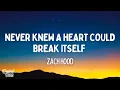 Lagu Zach Hood - never knew a heart could break itself (acoustic) (Lyrics)