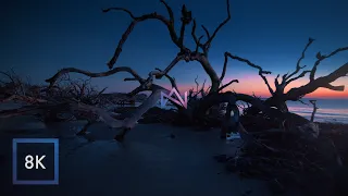 Relaxing Morning Ocean Sounds at Driftwood Beach / Sunrise Walk / 8K HDR