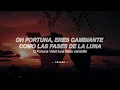 Alan Walker, Ava Max - FATE (Sub. Español + Lyrics)