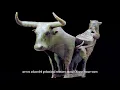 Download Lagu The Civilization of Ancient Dian - Bronze Civilization
