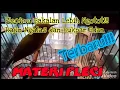 Download Lagu Plecimu Bakalan Lebih Ngotot Rajin Ngalas dan Bukpar Edan