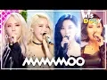 Lagu MAMAMOO Special ★Since 'Mr.Ambiguous' to 'HIP'★ (1h 30m Stage Compilation)