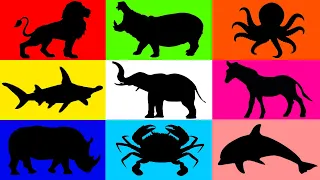 Learn Animal Names For Kids Toddlers Preschoolers Educational Videos