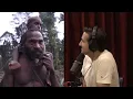 Download Lagu Song of the Mamuna Tribe on the Joe Rogan Experience