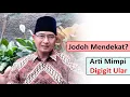 Download Lagu Memiliki Maka Penting❓❗ Arti Mimpi Digigit Ular