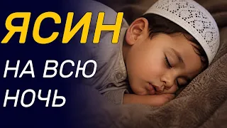 Сура ЯСИН на всю ночь включайте в ваших домах