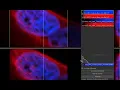 Image processing mode