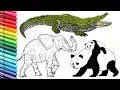 Drawing and Coloring Wild Animals - Color Pages Collection for Childrens