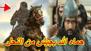 عاصم بن ثابت قصة الصحابي الذي علم المسلمين فنون القتال و حمى الله جسده بسرب من النحل 