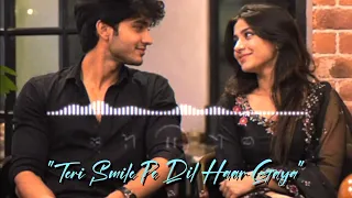 Teri Smile Pe Dil Haar Gaya | Romantic Hindi Lo-Fi Song