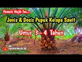 Lagu Jenis dan Dosis Pupuk Sawit umur 3 - 4 Tahun Untuk Tanaman Menghasilkan (TM)